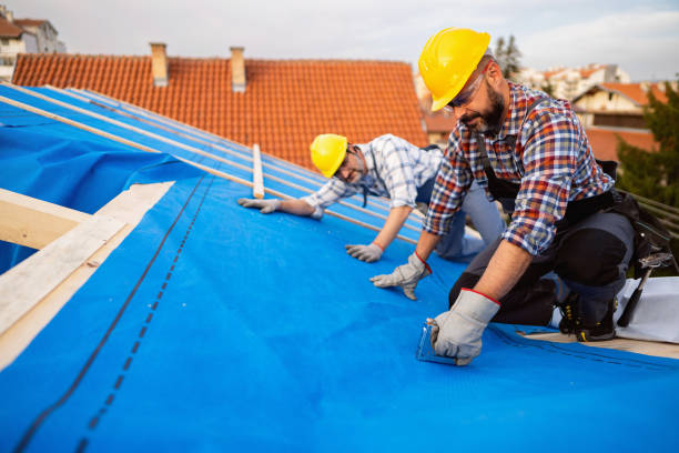 Best Local Roofing Companies  in Bemiss, GA
