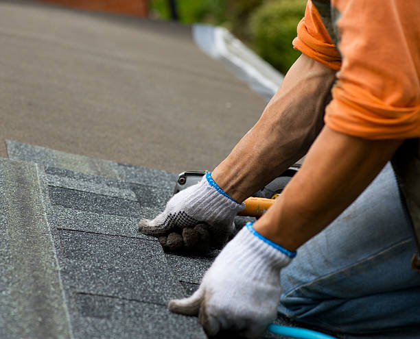 Quick and Trustworthy Emergency Roof Repair Services in Bemiss, GA